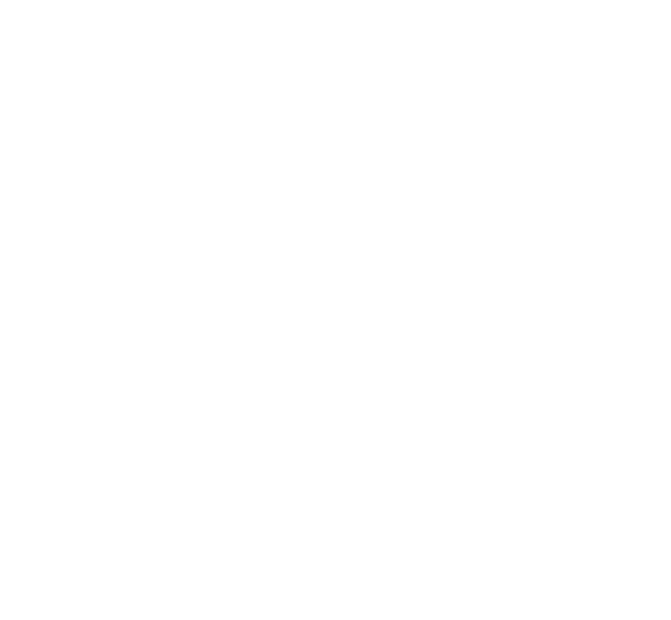 Raccoon Music